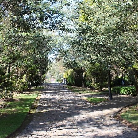 Hotel Rancho San Antonio Huasca de Ocampo Exteriér fotografie
