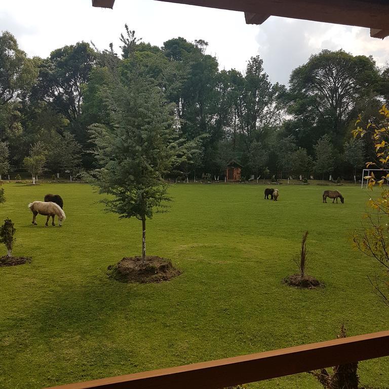 Hotel Rancho San Antonio Huasca de Ocampo Exteriér fotografie