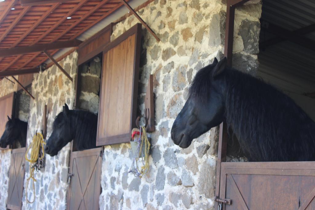 Hotel Rancho San Antonio Huasca de Ocampo Exteriér fotografie